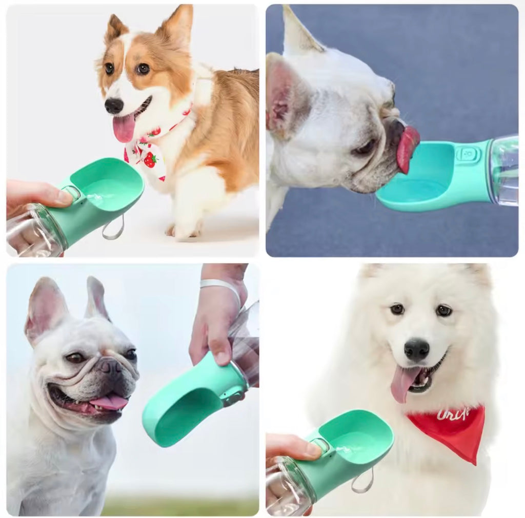 Botella de agua portátil para perros pequeños y grandes