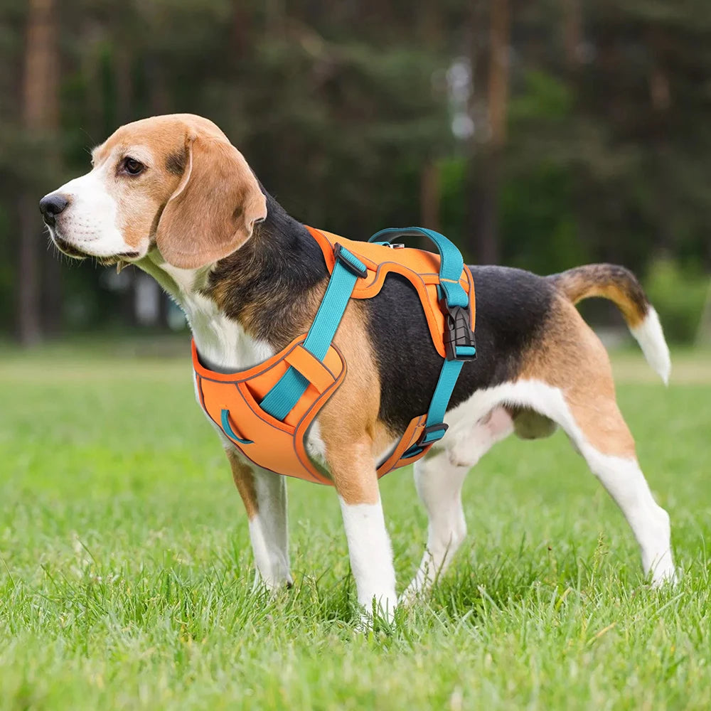 Arnés de Malla Reflectante y Transpirable tipo Chaleco para Perro