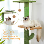 Árbol para Gatos 5 Niveles Tipo Cactus 