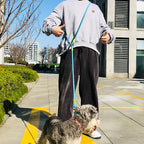 Correa de Nailon Reflectante Manos Libres para Perro