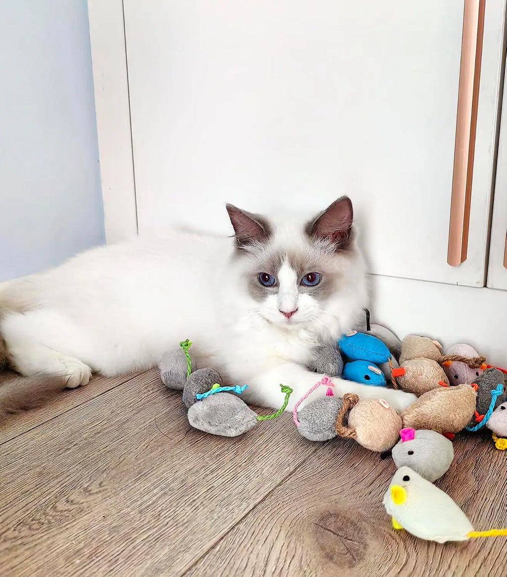 Juguete Ratón para Gatos con Catnip y Sonido