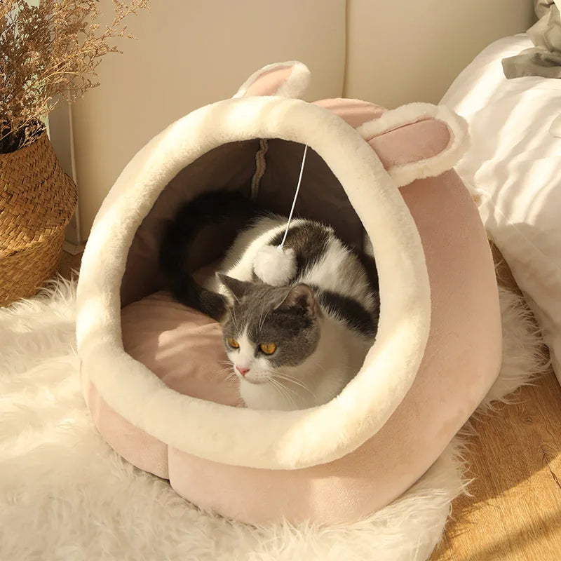 Cama Plegable Animada para Gatos